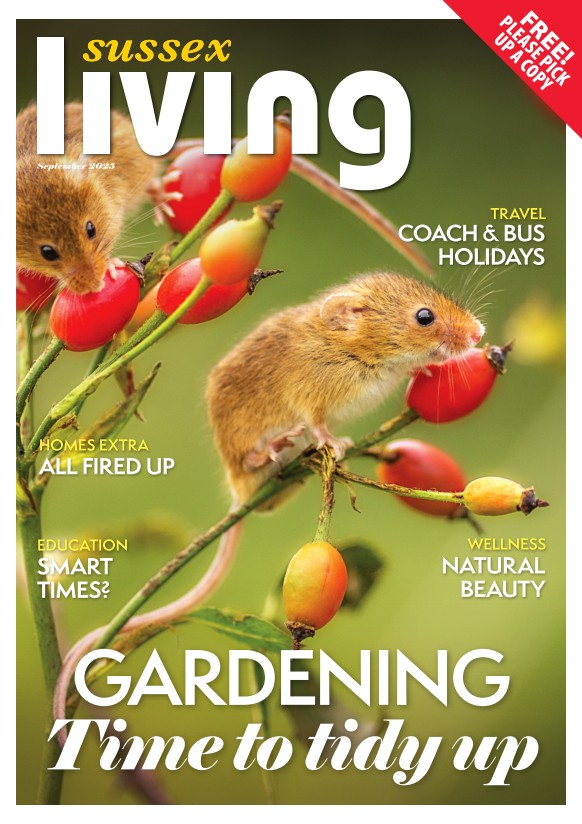 Front cover of Sussex Living magazine, September 2025 issue