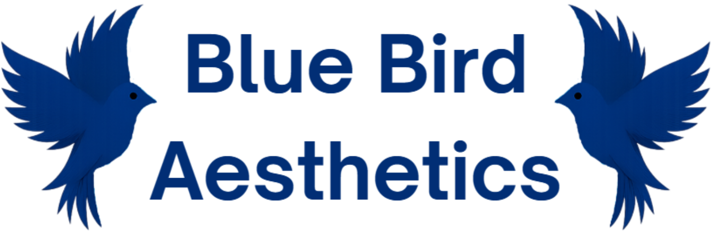 A Blue Bird Aesthetics logo featuring two stylised blue birds facing inward around the clinic name