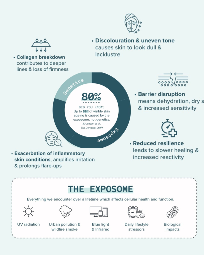 Infographic showing that up to 80% of visible skin ageing is caused by the Exposome, including UV, pollution, blue light, lifestyle stressors and biological factors, with effects such as collagen breakdown, pigmentation, barrier disruption and inflammation.