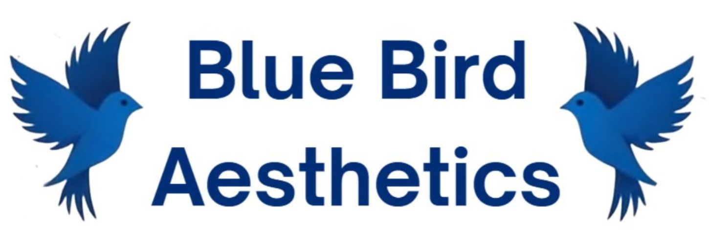 A Blue Bird Aesthetics logo featuring two stylised blue birds facing inward around the clinic name
